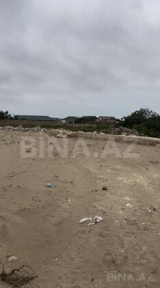 Torpaq Nardaran q., Bakı