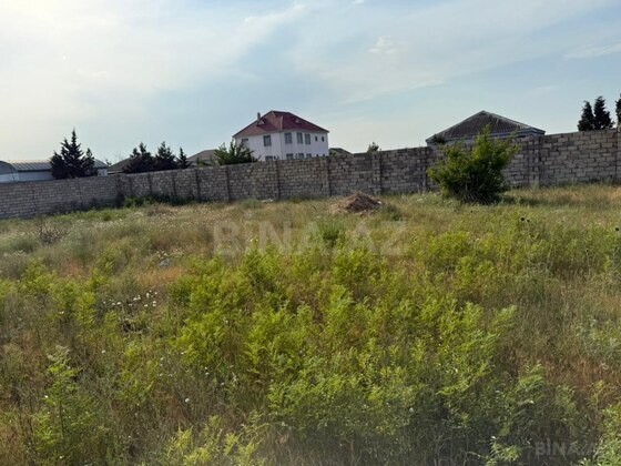 Torpaq Nardaran q., Bakı
