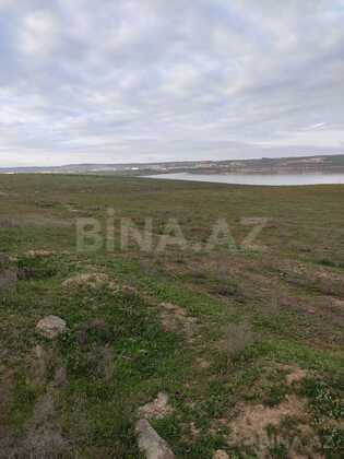 Torpaq Novxanı q., Bakı