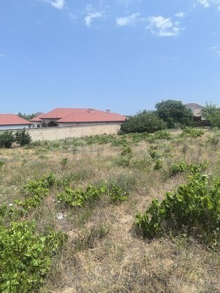 Torpaq Novxanı q., Bakı