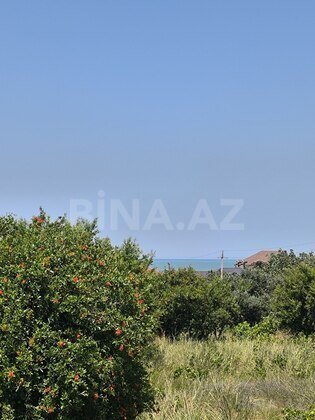 Torpaq Görədil q., Bakı