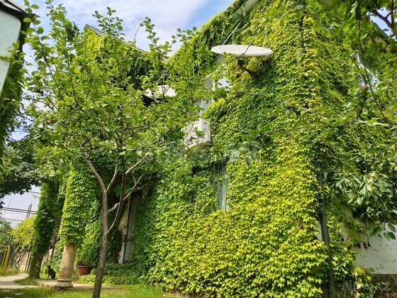 6 otaqlı Həyət evi/Bağ evi, İsmayıllı