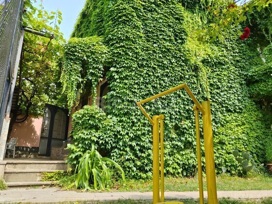 6 otaqlı Həyət evi/Bağ evi, İsmayıllı