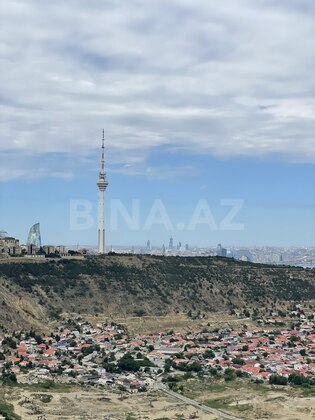 Torpaq Badamdar q., Bakı