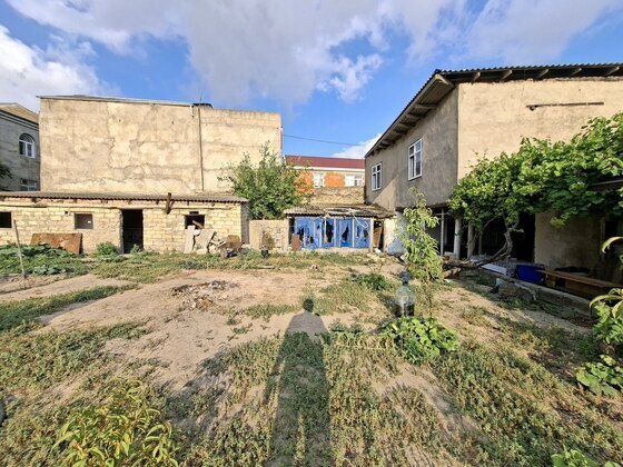 Torpaq Zaqatala