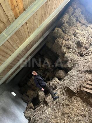 10 otaqlı Həyət evi/Bağ evi, Biləsuvar
