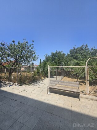 Torpaq Badamdar q., Bakı