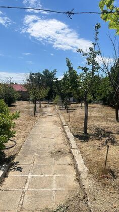 Torpaq Mərdəkan q., Bakı