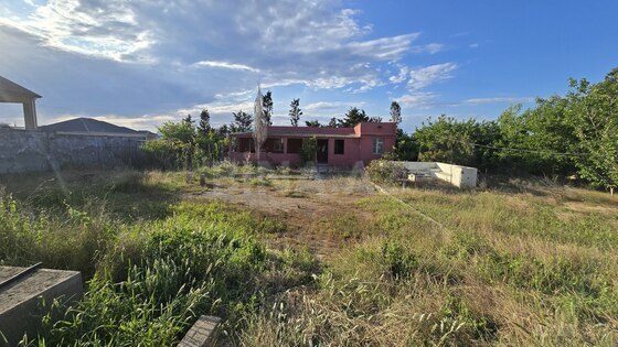 Torpaq Pirşağı q., Bakı