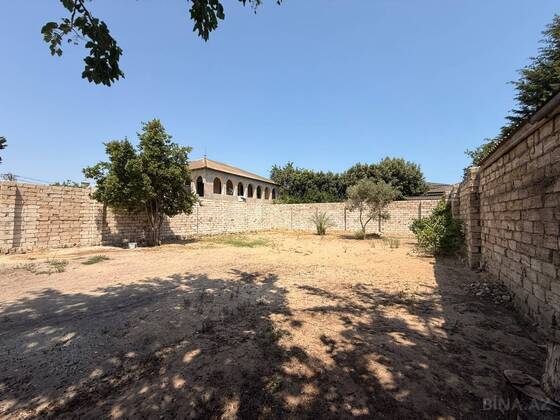 Torpaq Şüvəlan q., Bakı