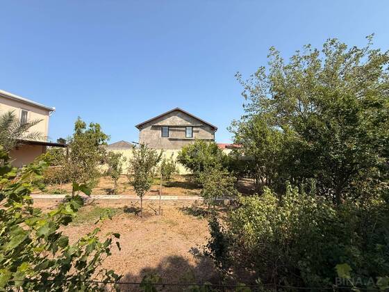 Torpaq Şüvəlan q., Bakı