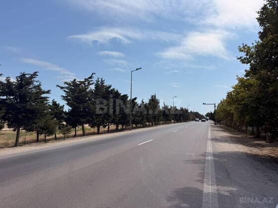 Torpaq Şüvəlan q., Bakı