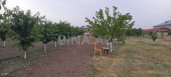Torpaq Quba