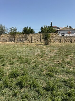 Torpaq Novxanı q., Bakı