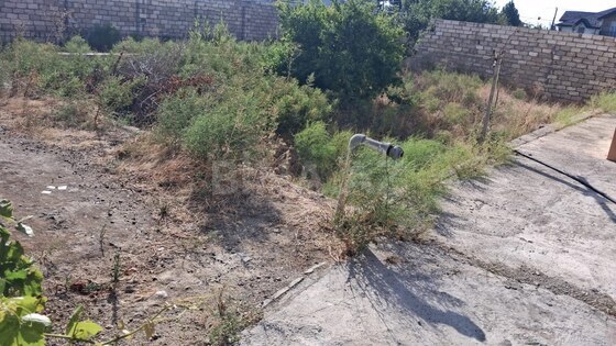 Torpaq Mərdəkan q., Bakı