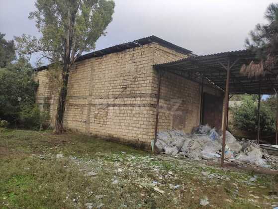 Torpaq Masallı