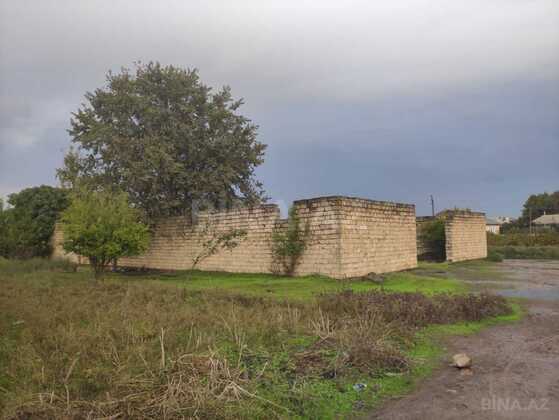 Torpaq Masallı