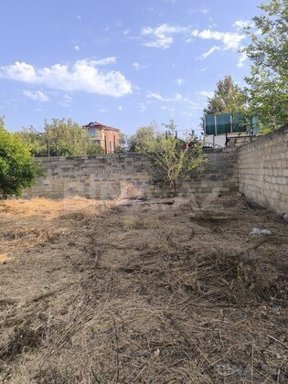 Torpaq Novxanı q., Bakı