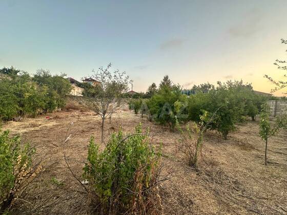 Torpaq Novxanı q., Bakı