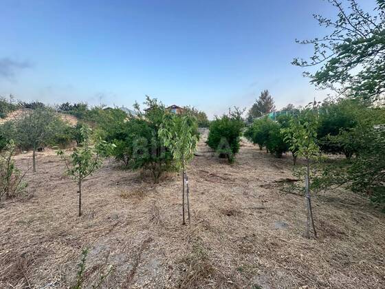 Torpaq Novxanı q., Bakı