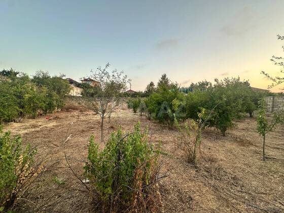 Torpaq Novxanı q., Bakı