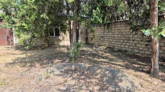 5 otaqlı Həyət evi/Bağ evi, Tovuz