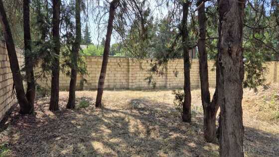 5 otaqlı Həyət evi/Bağ evi, Tovuz