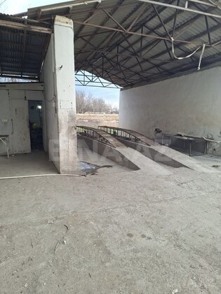 Torpaq Yevlax