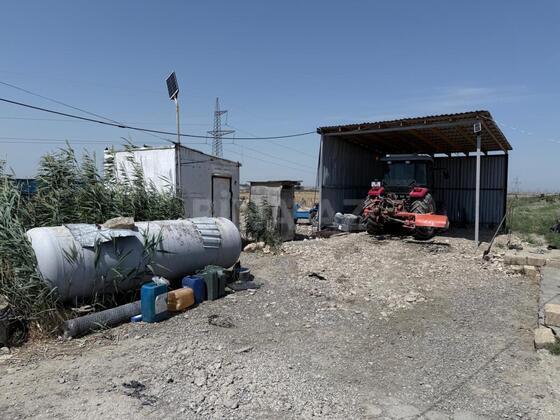 Torpaq Şabran