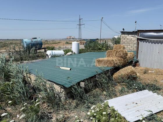 Torpaq Şabran