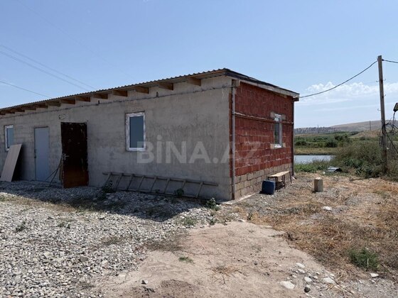 Torpaq Şabran