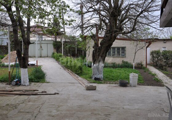 6 otaqlı Həyət evi/Bağ evi, Şamaxı