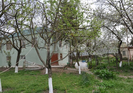 6 otaqlı Həyət evi/Bağ evi, Şamaxı