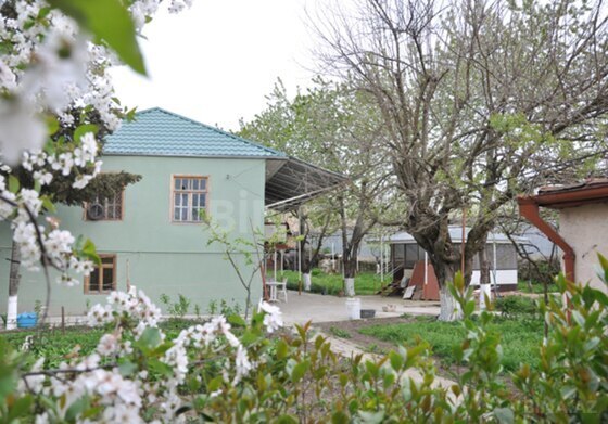6 otaqlı Həyət evi/Bağ evi, Şamaxı