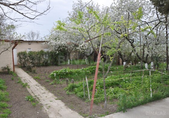 6 otaqlı Həyət evi/Bağ evi, Şamaxı