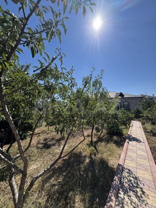Torpaq Mərdəkan q., Bakı