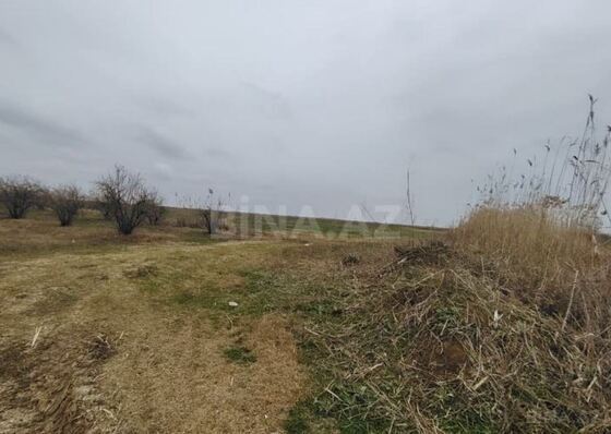 Torpaq Biləsuvar