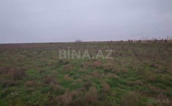 Torpaq Biləsuvar