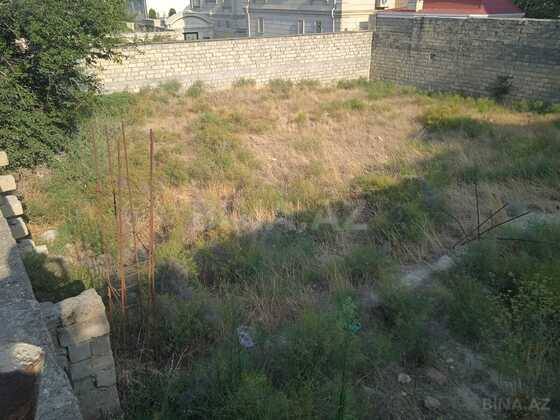 Torpaq Badamdar q., Bakı
