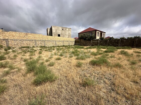 Torpaq Novxanı q., Bakı