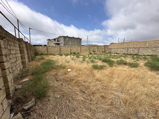 Torpaq Novxanı q., Bakı