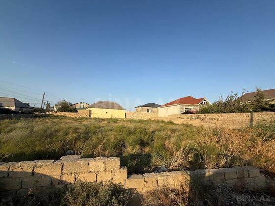 Torpaq Məmmədli q., Bakı
