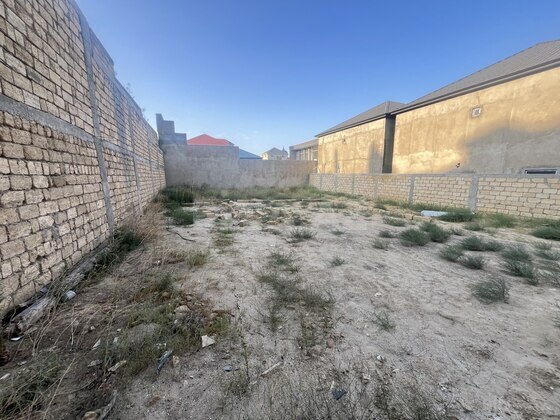 Torpaq Badamdar q., Bakı