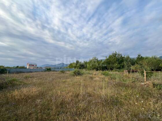 Torpaq İsmayıllı