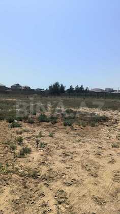 Torpaq Nardaran q., Bakı