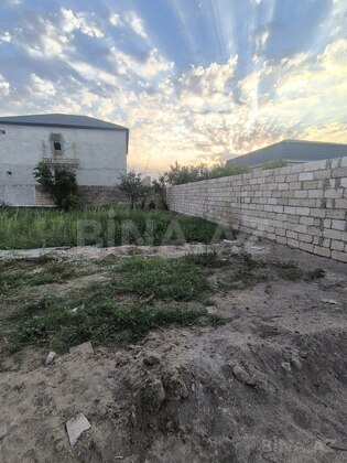 Torpaq Novxanı q., Bakı