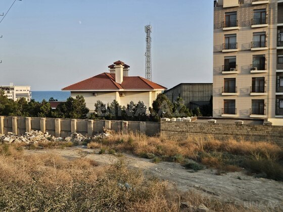 Torpaq Şıxov q., Bakı