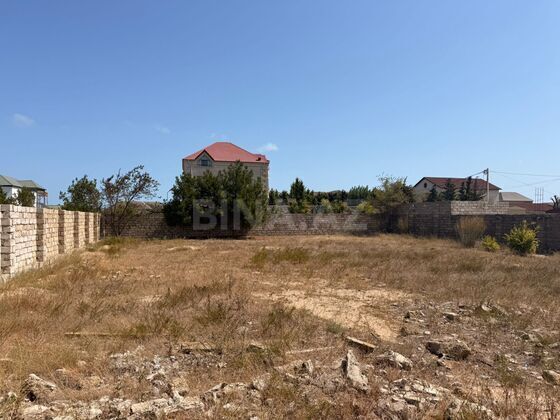 Torpaq Şüvəlan q., Bakı