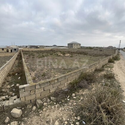 Torpaq Nardaran q., Bakı