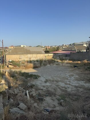 Torpaq Badamdar q., Bakı